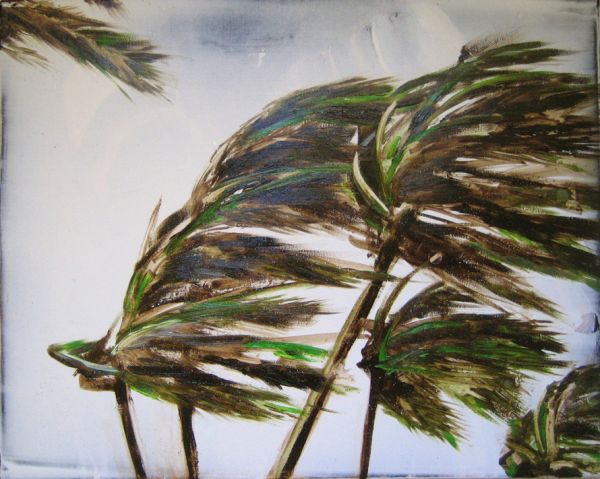 ’Hurricane’ . Acryl und Öl auf Leinwand . 40 x 50 cm . 2015
